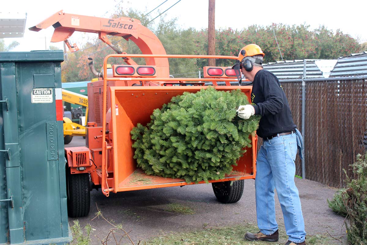 Public Works Christmas Tree Recycling